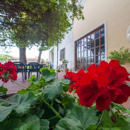 Bed and breakfast Amodeo